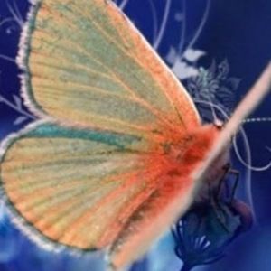 Meet your Posher, Nannetta